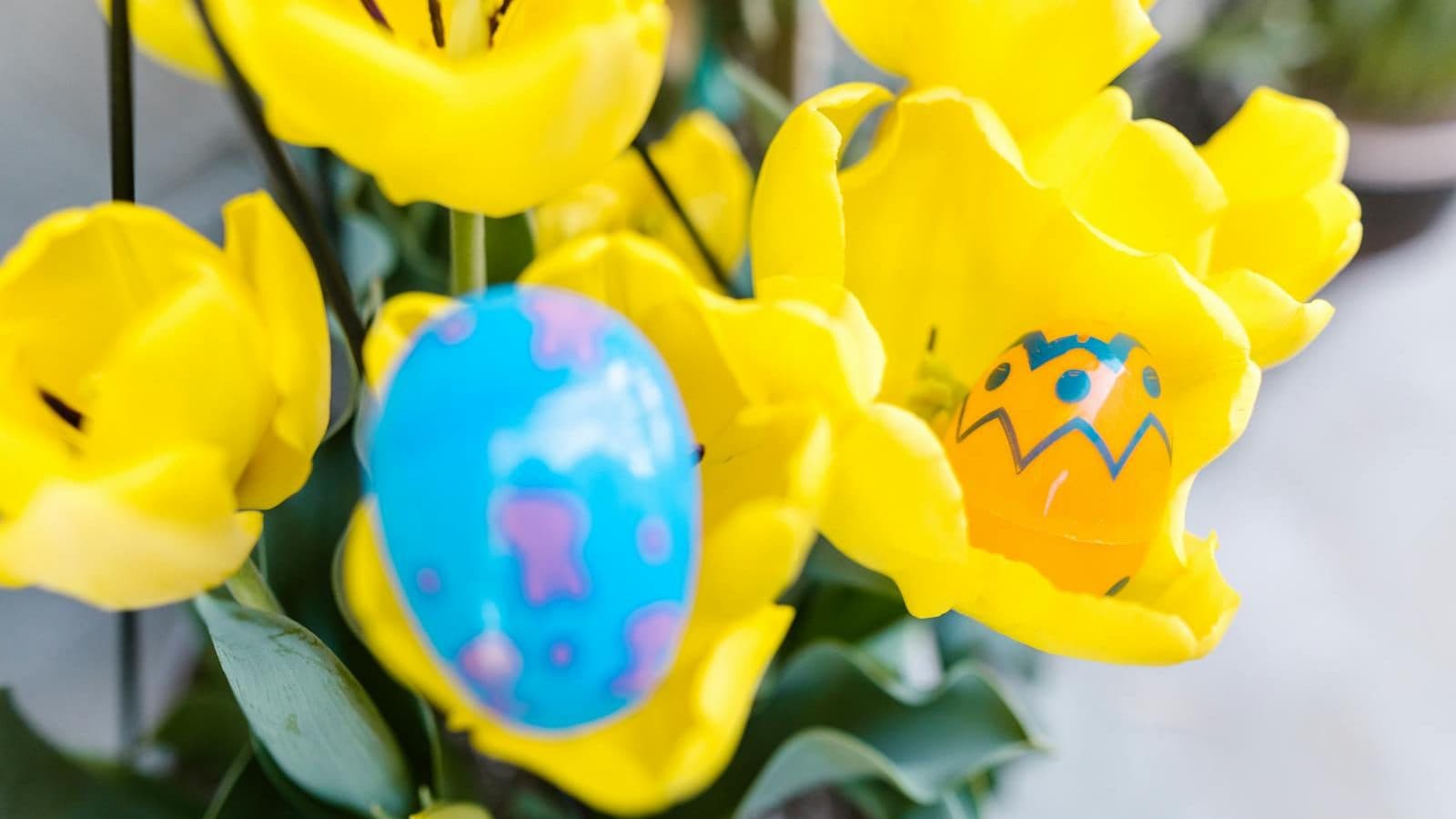 Easter Eggs on Yellow Flowers