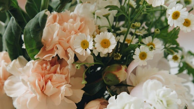 white and beige flowers